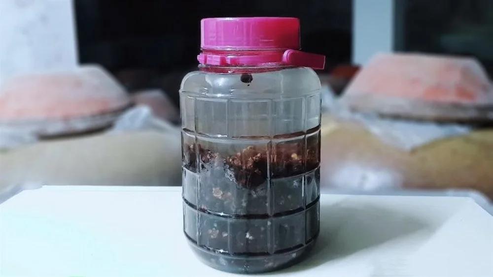 Loại quả vốn đầy rừng không ai nhặt, thành đặc sản Phú Quốc-2