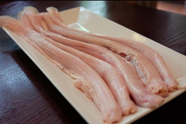 Loại cá có hình dạng đáng sợ nhưng được các bà nội trợ săn lùng-3