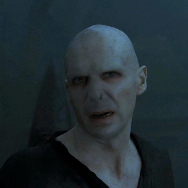 Giải mã bí ẩn lớn nhất Harry Potter: Vì sao Voldemort không có mũi?-4