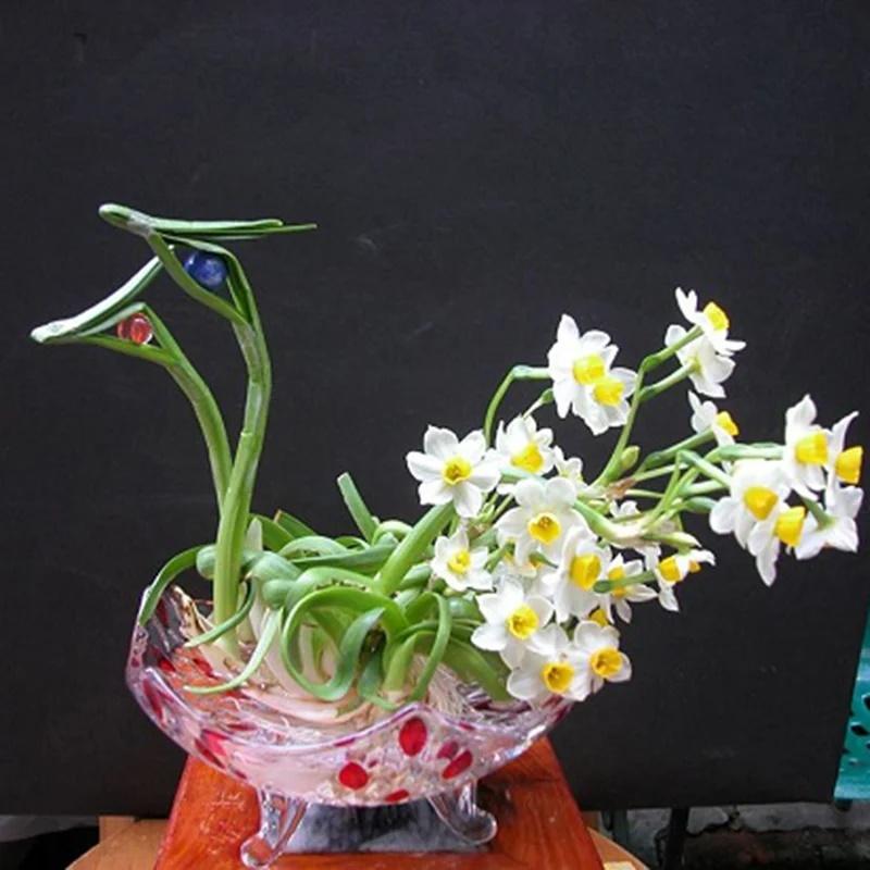 5 loại hoa đẹp nhưng không may, để trong nhà mời gọi vận xui-1