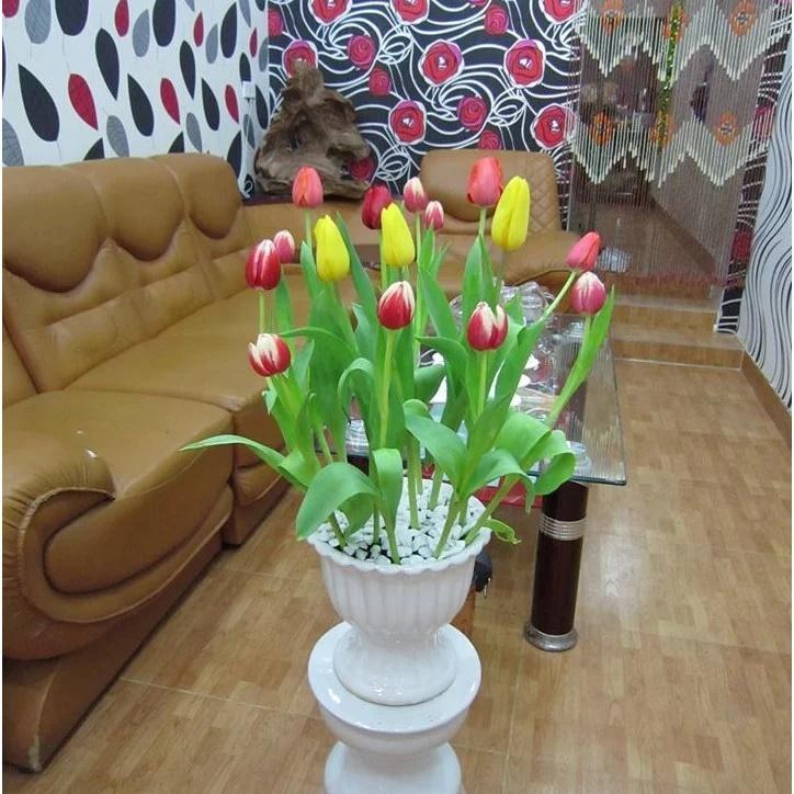 5 loại hoa đẹp nhưng không may, để trong nhà mời gọi vận xui-2