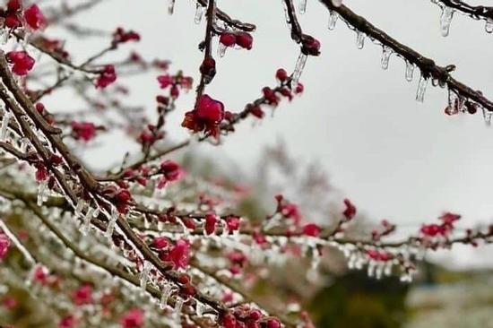 Khi nào miền Bắc hứng đợt rét đậm, rét hại của mùa đông 2022?