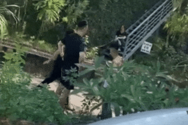 Nghi cún cưng bị hại chết, gia đình đại gia đánh hội đồng cậu nhân viên-1