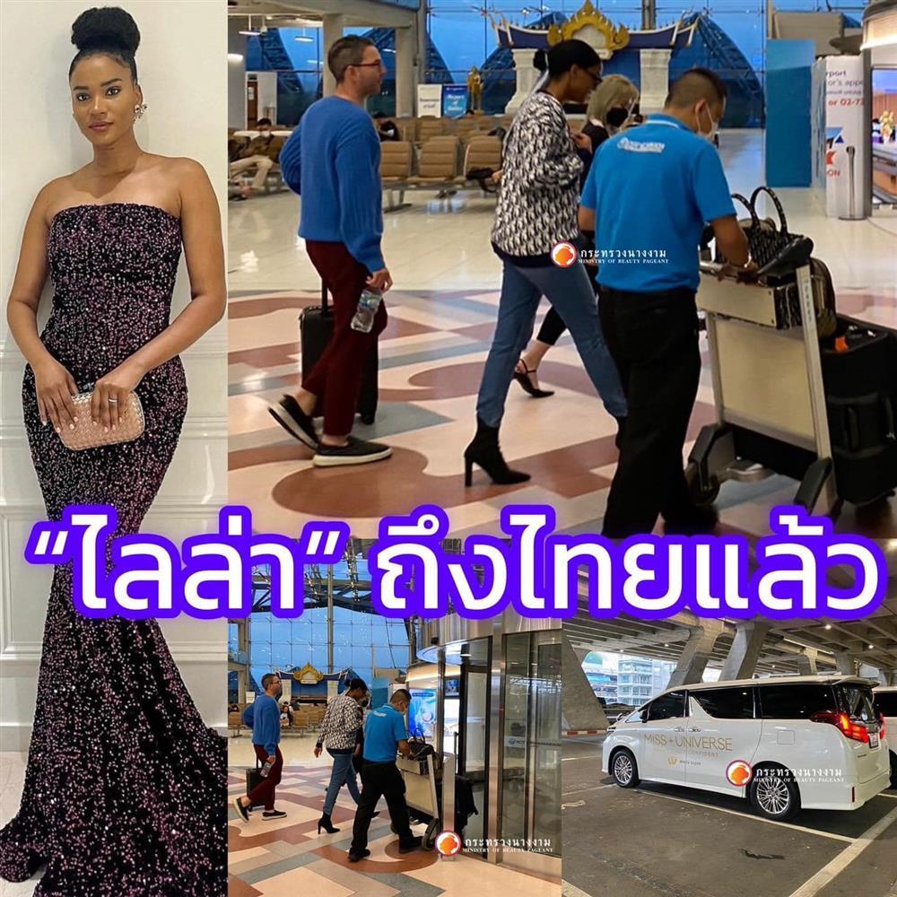 Miss Universe chê Miss Grand đến Thái Lan, ông Nawat bị gọi tên-1