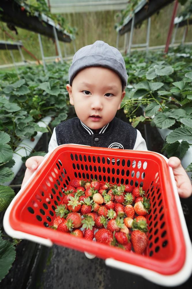 Trà My Idol hiếm hoi khoe ảnh tình bể bình bên chồng đại gia-7