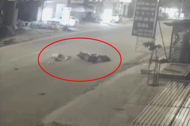 Clip: Bất ngờ sụp ổ gà, người đàn ông văng ra đường tử vong-2