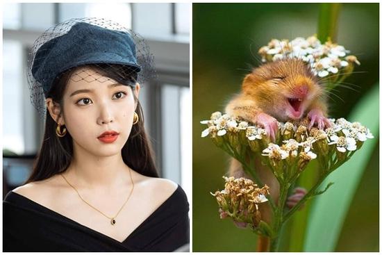 Tử vi hàng ngày 12 con giáp thứ Bảy 12/11/2022: Mua dây buộc mình