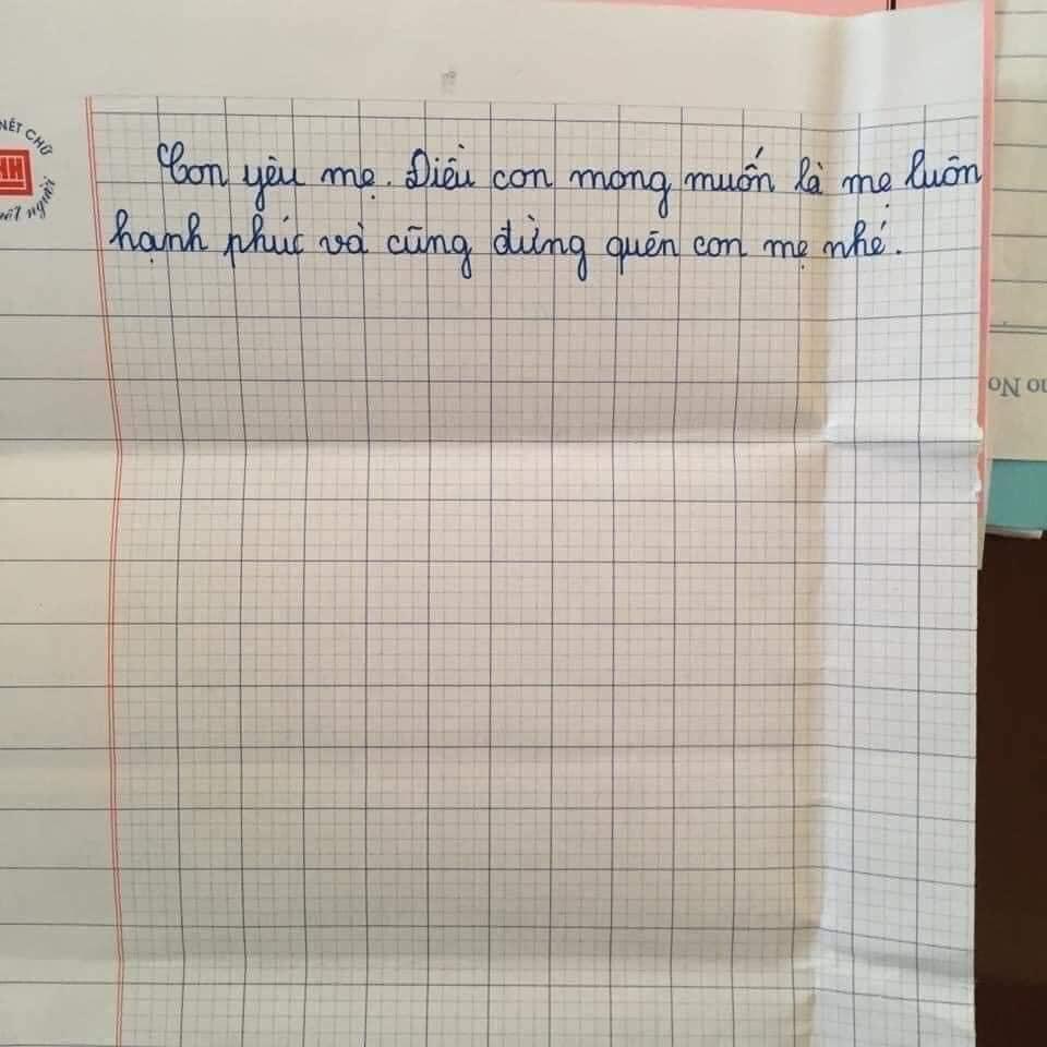 Ứa nước mắt bức thư của cô bé lớp 5 gửi mẹ lấy chồng mới-5