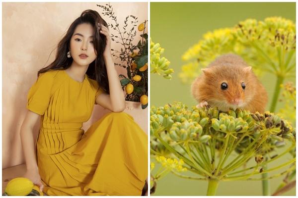 4 Tuổi Ếch Ngồi Đáy Giếng Nhưng Lại Thích Múa Rìu Qua Mắt Thợ - 2Sao
