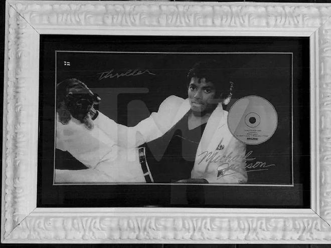 Kiện đòi tài sản trị giá 1 triệu USD của Michael Jackson-2