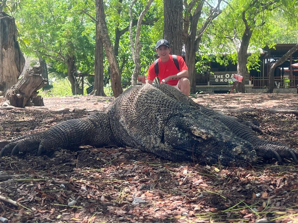 Tin showbiz Việt ngày 10/11: Pha Lê than vãn thị phi đầu tư đất-2