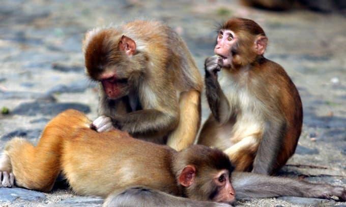 Ngày 11/11 qua cơn bĩ cực đến hồi thái lai 4 tuổi giàu khủng-4