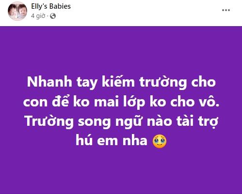 Elly Trần đáp trả lời mỉa mai khi tìm trường tài trợ cho con-2