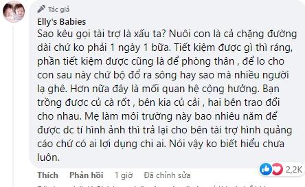 Elly Trần đáp trả lời mỉa mai khi tìm trường tài trợ cho con-3