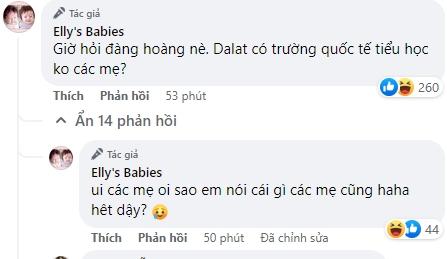 Elly Trần đáp trả lời mỉa mai khi tìm trường tài trợ cho con-4