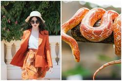 Ngày 12/11, Thần may mắn bảo hộ 3 tuổi làm gì cũng thuận lợi
