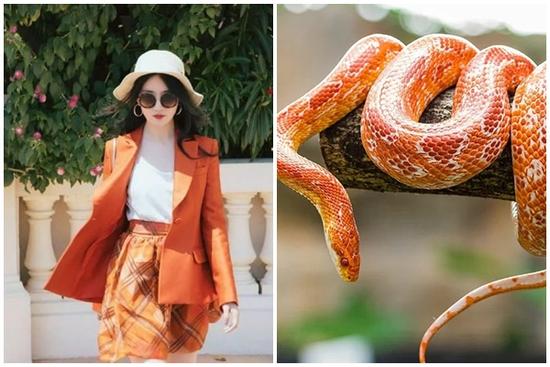 Ngày 12/11, Thần may mắn bảo hộ 3 tuổi làm gì cũng thuận lợi