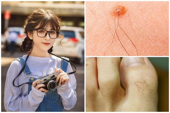 3 điểm càng nhiều lông càng phát lộc, quý khí thịnh vượng hơn người