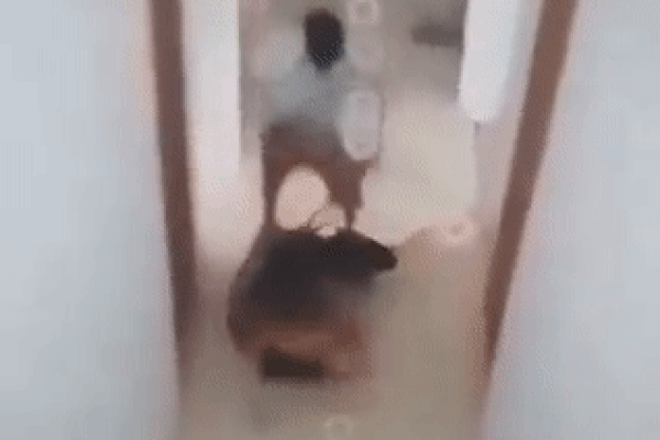 Clip: Gã đàn ông cầm gậy đập chết nhân tình trong khách sạn