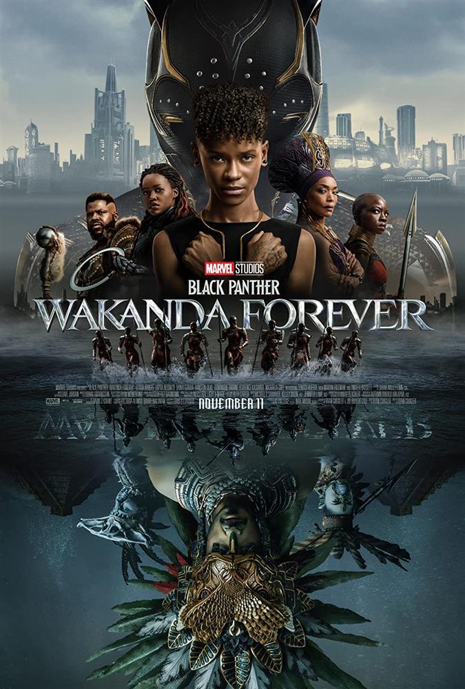 Black Panther: Wakanda Forever - màn tri ân cố tài tử Chadwick Boseman đầy cảm xúc-8