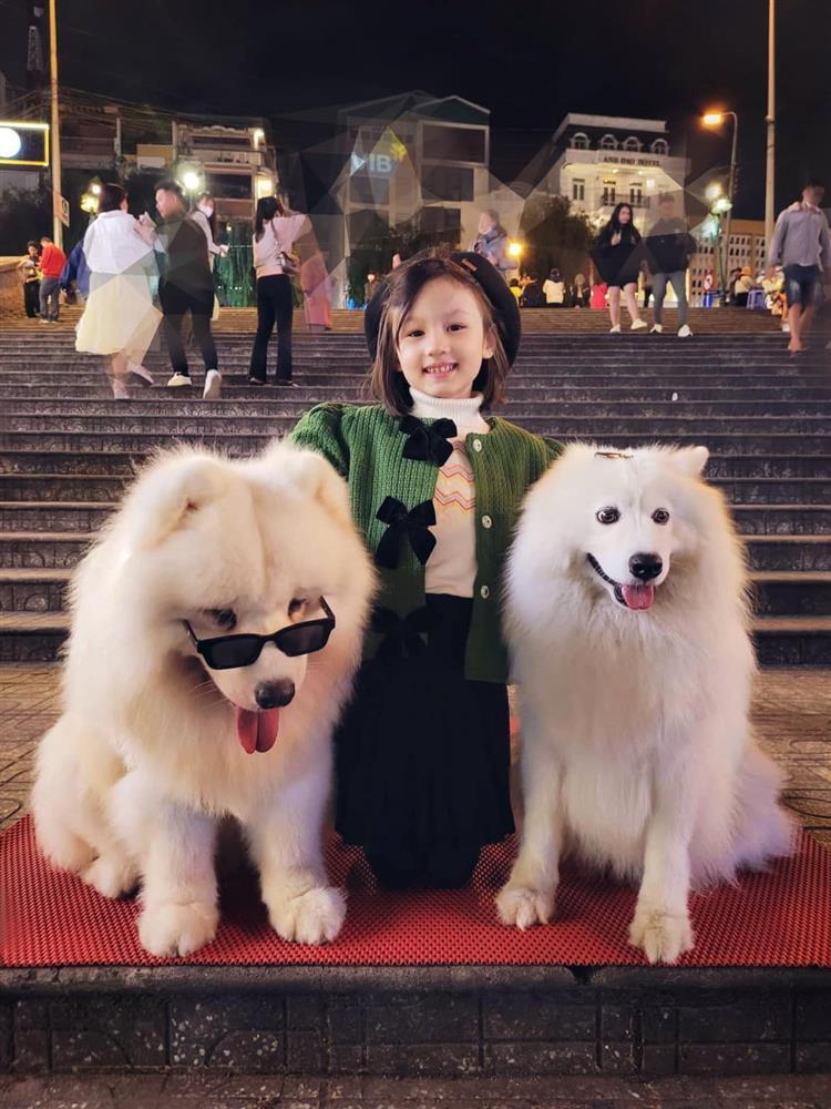 Tin showbiz Việt ngày 13/11: Quyền Linh nhờ pháp luật vì bị lợi dụng-8