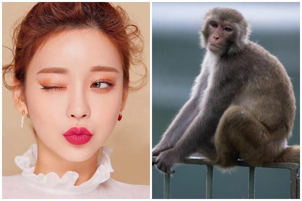 Tử vi hàng ngày 12 con giáp thứ Tư 16/11/2022: Hạnh phúc xa vời-4