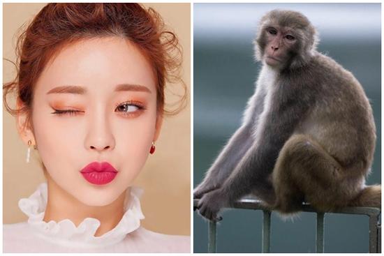 Tử vi hàng ngày 12 con giáp thứ Ba 15/11/2022: Lớ ngớ vớ huy chương