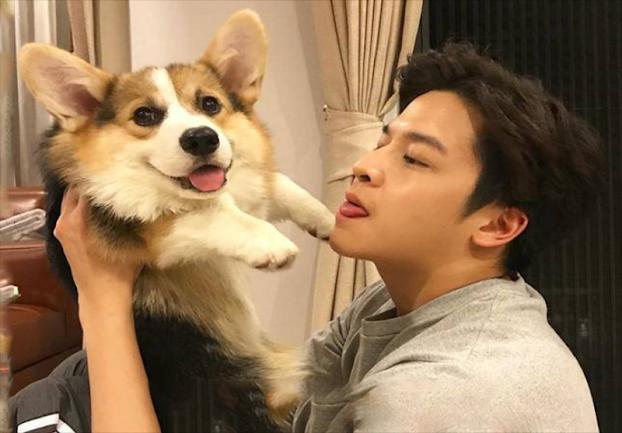 Chồng mua canxi tiền triệu cho chó, con suy dinh dưỡng thì mặc kệ-2