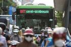 TP Hà Nội: Buýt nhanh BRT làm giảm ùn tắc giao thông