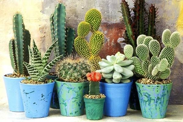 Tổ tiên dặn để 3 thứ hút lộc dưới gối, tiền của tự tìm đến nhà-4