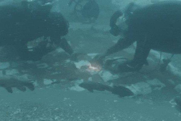 Thợ lặn vô tình phát hiện kim tự tháp gây tranh cãi dưới đáy biển Nhật Bản-2