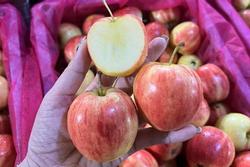 4 đặc điểm của trái cây dù giảm giá siêu rẻ cũng không nên mua