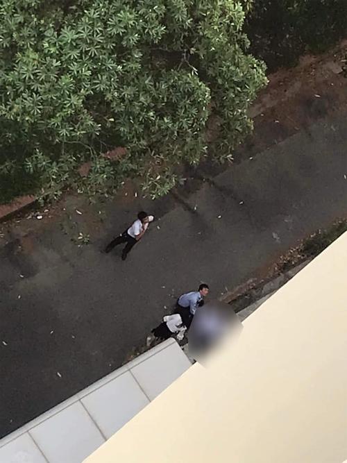 Một nam sinh đại học ở Hải Phòng rơi từ tầng 8 xuống tử vong-2