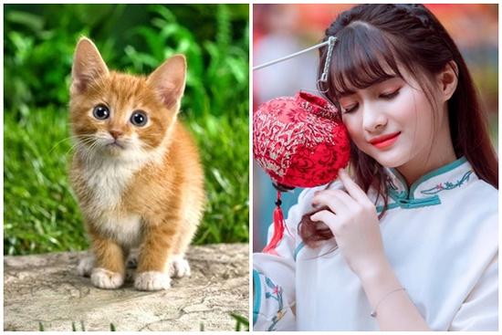 Từ 16 - 18/11: Phúc đến cửa trước, tài vào cửa sau 3 tuổi giàu sụ