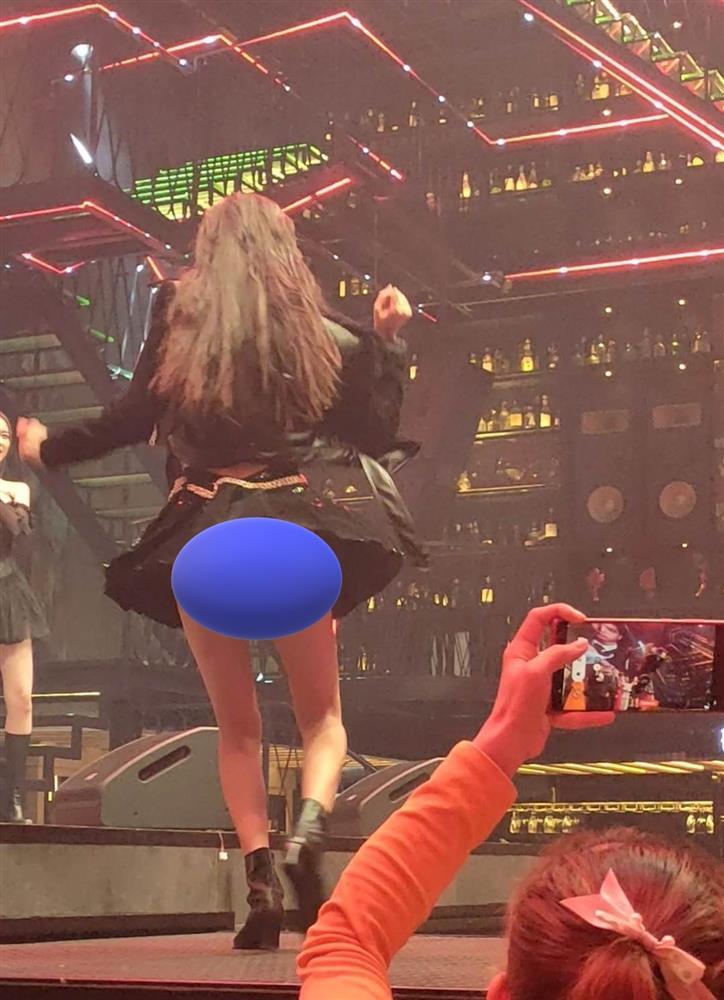 Lệ Nam lên tiếng sự cố váy ngắn phản chủ nơi đông người-4