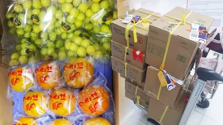 Khách du lịch mang trái cây tươi vào Thái Lan có thể bị phạt tù-1