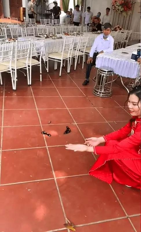 Đôi bướm xuất hiện trong lễ ăn hỏi lại tiếp tục có mặt dự đám cưới-1
