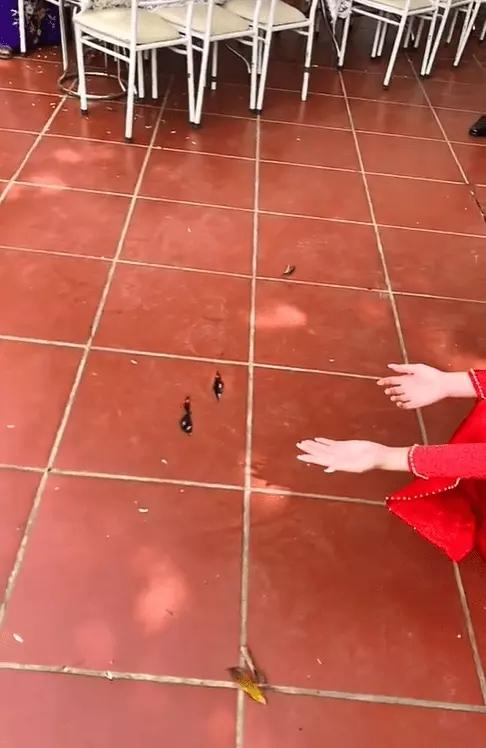 Đôi bướm xuất hiện trong lễ ăn hỏi lại tiếp tục có mặt dự đám cưới-2