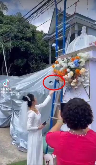 Đôi bướm xuất hiện trong lễ ăn hỏi lại tiếp tục có mặt dự đám cưới-3