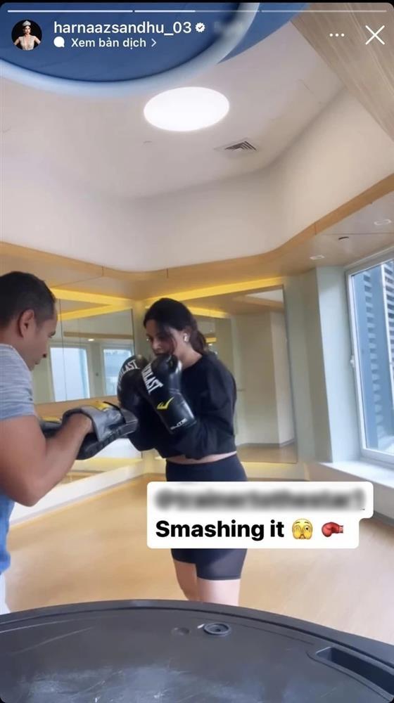 Miss Universe 2021 độ body bằng gym sau thời gian phát tướng-1