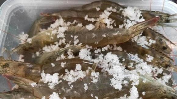 3 mẹo bảo quản tôm tươi ăn cả năm, cách cuối không ai ngờ tới-1