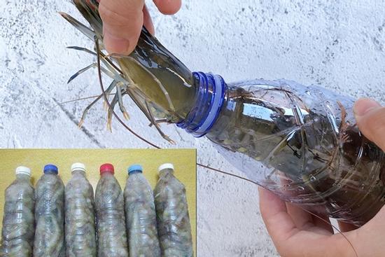 3 mẹo bảo quản tôm tươi ăn cả năm, cách cuối không ai ngờ tới