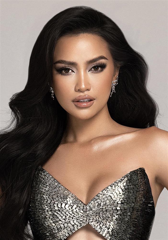 Ảnh profile mỹ nhân Việt tại Miss Universe: Ai đỉnh nhất?-2