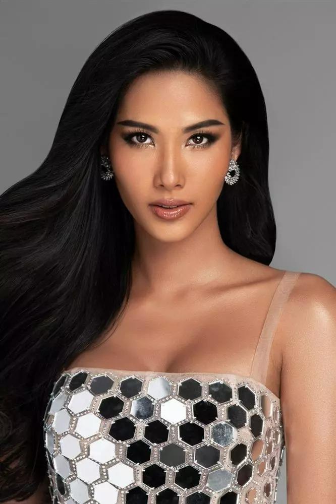 Ảnh profile mỹ nhân Việt tại Miss Universe: Ai đỉnh nhất?-5