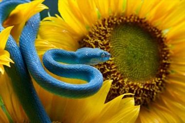 Cuối tuần 19 - 20/11 họa vô đơn chí, 4 tuổi gánh họa đại hao-3