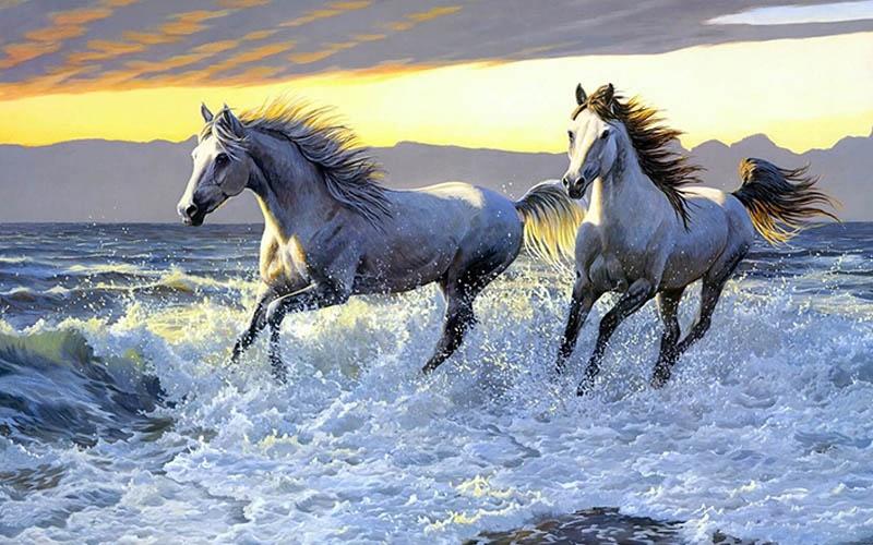 Cuối tuần 19 - 20/11 họa vô đơn chí, 4 tuổi gánh họa đại hao-4