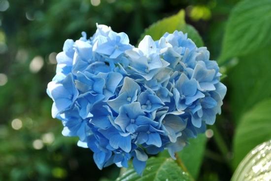 Phụ nữ sinh 6 ngày Âm lịch mang số vượng phu, lắm phúc nhiều lộc