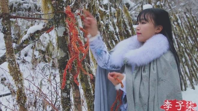 Người kế nhiệm Lý Tử Thất-4