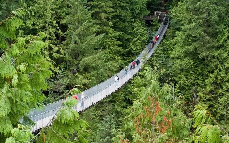 10 cây cầu đáng sợ nhất thế giới, nhìn thôi cũng đã thấy rùng mình-3