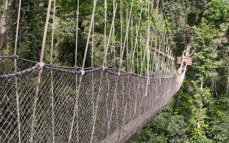 10 cây cầu đáng sợ nhất thế giới, nhìn thôi cũng đã thấy rùng mình-9